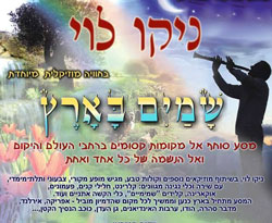 המופע